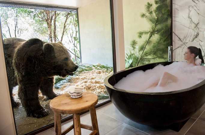 호주 동물원 호텔...사자와 함께 식사를