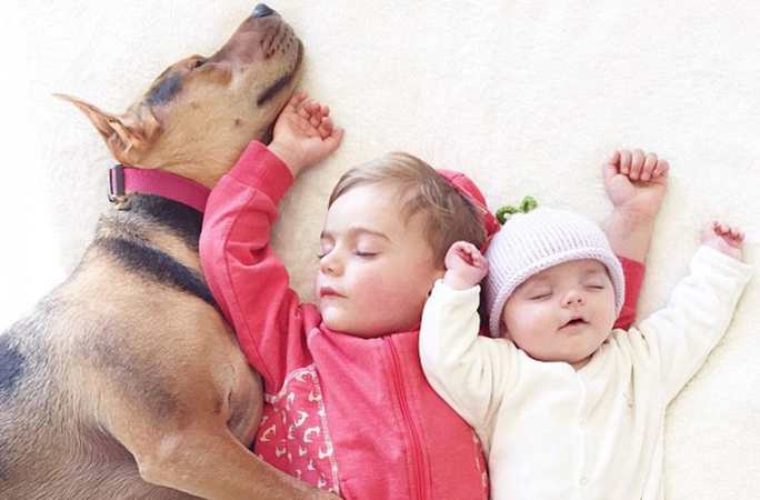 美 귀요미 아기와 멍멍이 단잠자는 사진