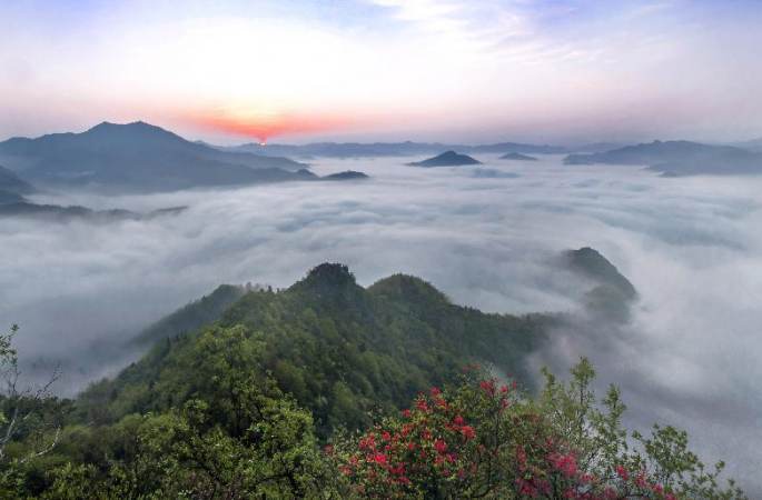 (아름다운 중국) 야생화가 활짝 피는 우지산(屋脊山)