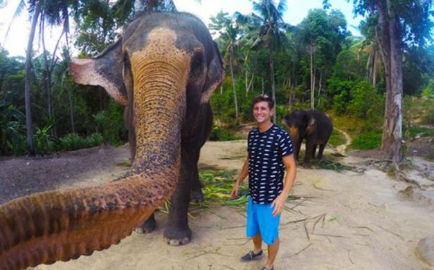 태국의 코끼리, 코로 찍은 셀카... 여행객과 찰칵!