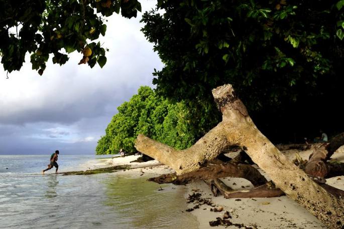 파푸아뉴기니: 해상실크로드의 "명주"