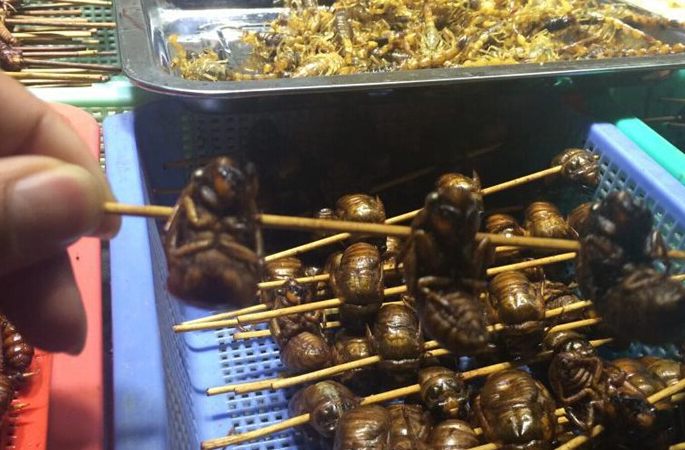 윈난서 특색 먹거리 행사 개최, 각종 곤충 ‘총출동’
