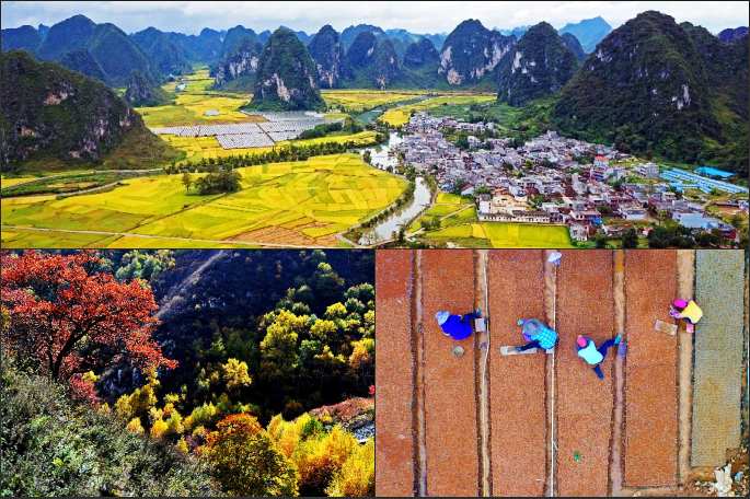 아름다운 중국 각지의 가을