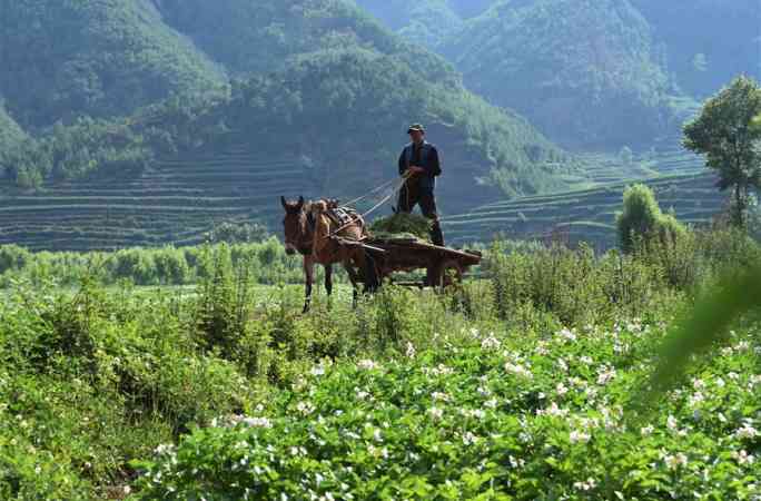 中윈난 후이저의 아름다운 전원 풍경