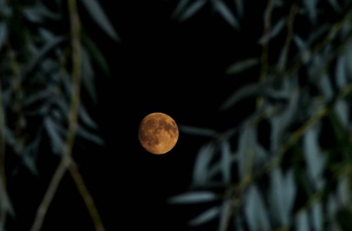 중추절（中秋節)에 달맞이