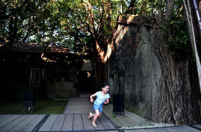 안핑 ‘나무집’: 자연과 인공의 어우러짐