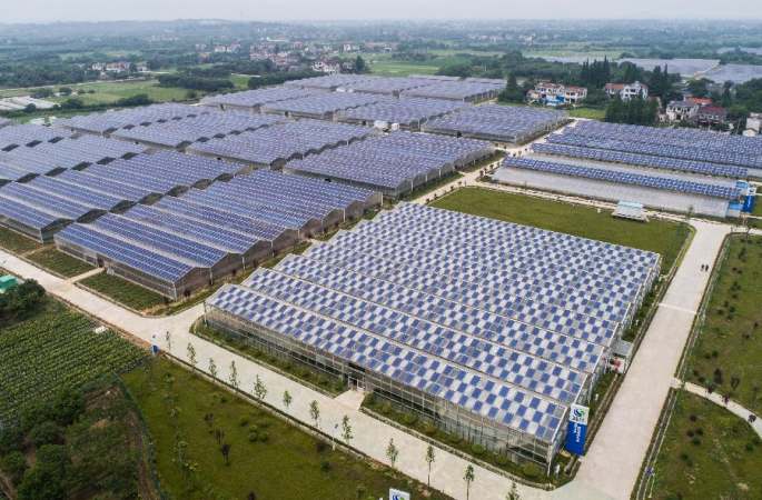 저장 창싱: 녹색 수익 창출‘한 토지 두가지 용도’농업-태양광 산업 상호 보완 프로젝트