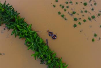 광시, 강한 폭우로 109만명 피해