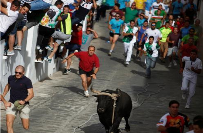스페인 ‘황소축제’에서 민중들 난간에 올라 소를 피해
