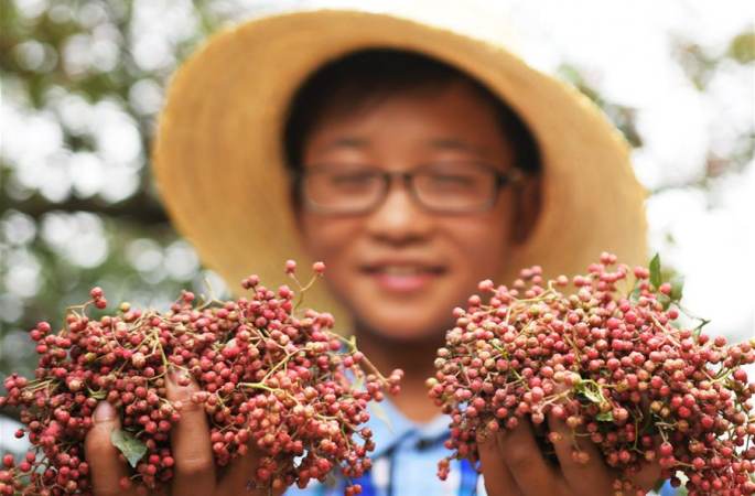 간쑤 린샤: 화초 수확하느라 바빠