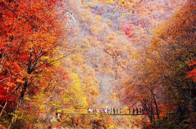 가을 팔레트…오색찬란한 색의 향연