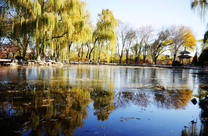 베이징: 맑은 햇쌀속의 아름다운 가을 풍경
