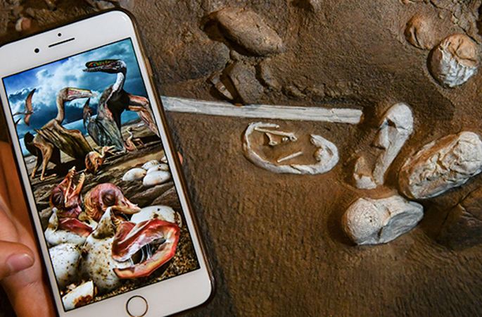 중국서 선사시대 익룡의 ‘낙원’ 발견…익룡 생활사 밝혀내