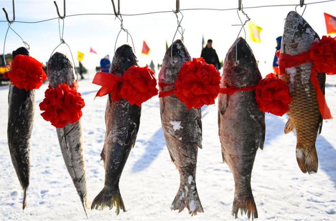 네이멍구초원 ‘동계 물고기 잡이’에 분주
