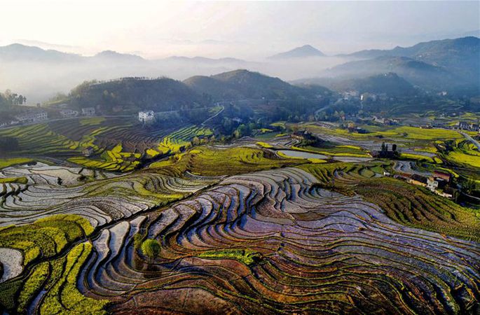산시 펑옌 계단식 밭…꽃과 물이 어우러진 화폭
