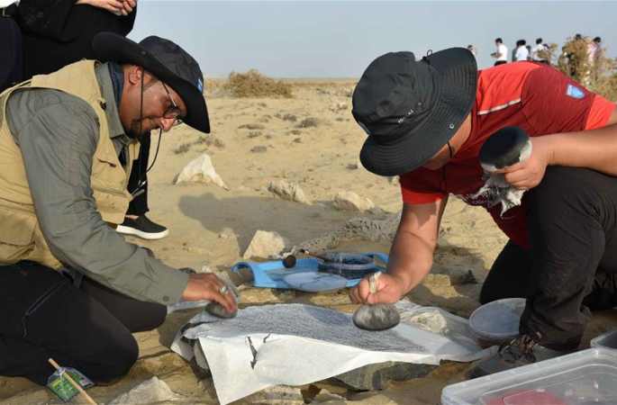 중국-사우디 고고학 연구팀 사우디 옛 항구 유적지서 중국 도자기 파편 발견