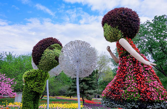 아름다움이 똑똑 떨어질 것 같은 베이징 식물원의 튤립 장관