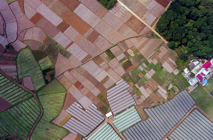 윈난 쉰뎬: 붉은 땅 위의 아름다운 시골 경치