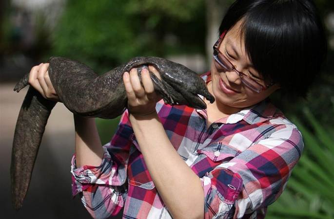중국과학원 새로운 발견…야생 ‘와와어’종 여럿