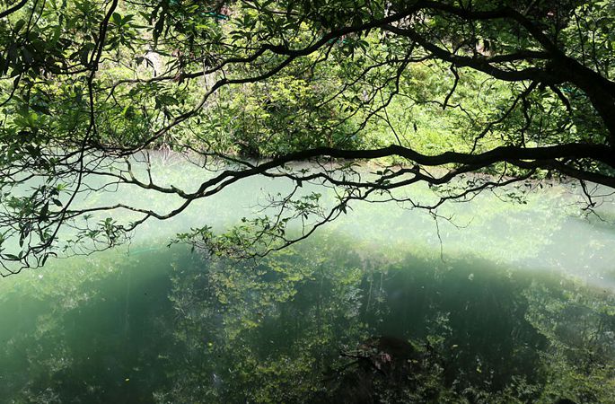 후베이 이창: 중앙아시아 녹나무숲의 수려한 산수 풍경