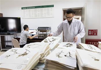 中 디지털 식물표본관, 표본 수량 600만개 초과