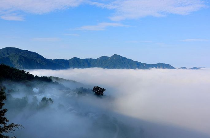 안후이 황산: 안개 자욱한 진룽산 운해…선계 연상케 해