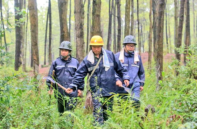 장시 융펑: 고온아래의 삼림 감시원