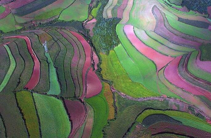 둥촨, 붉은 땅을 소재로 한 다채로운 유화 작품 방불