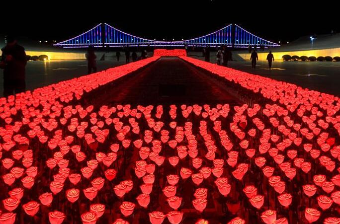 다롄, 새해 조명 불 밝혀…9999송이 장미, 백년 도시조각작품 에워싸