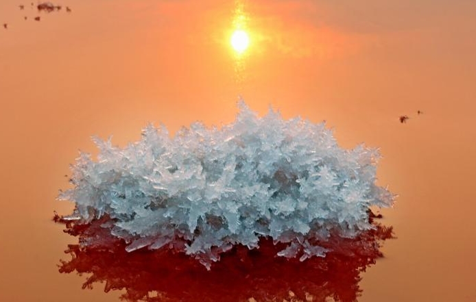 산시 윈청 염호에 아름다운 ‘초석꽃’ 피어