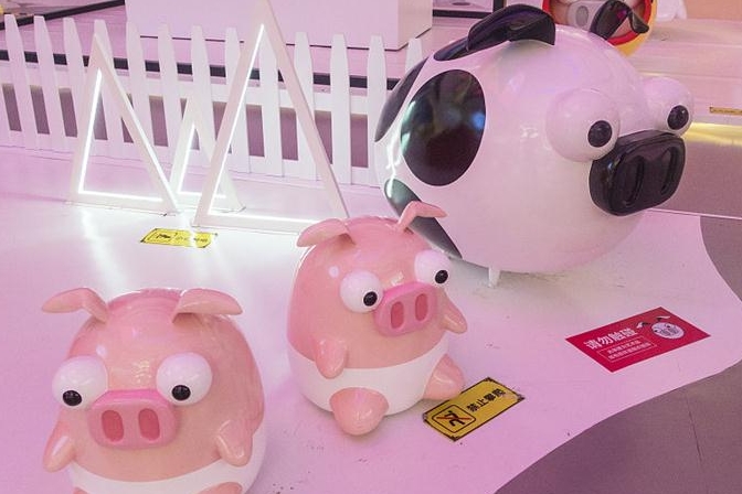 청두:돼지해 맞아 귀요미 pig 상점 ‘점령’