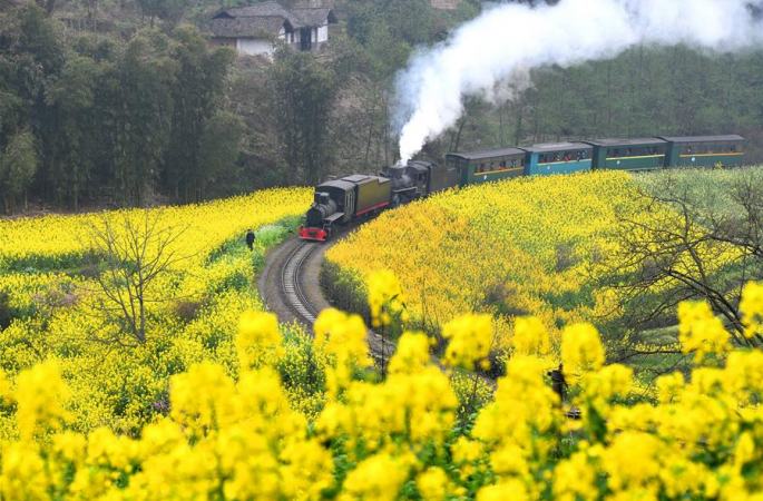 쓰촨 쳰웨이(犍為): ‘봄을 향해 달리는’ 소형열차