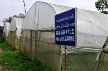 (일대일로 정상포럼) 유기농 채소기지 탄생기—라오스 수도 근교지역 농가, 중국 기술 덕 ‘톡톡’