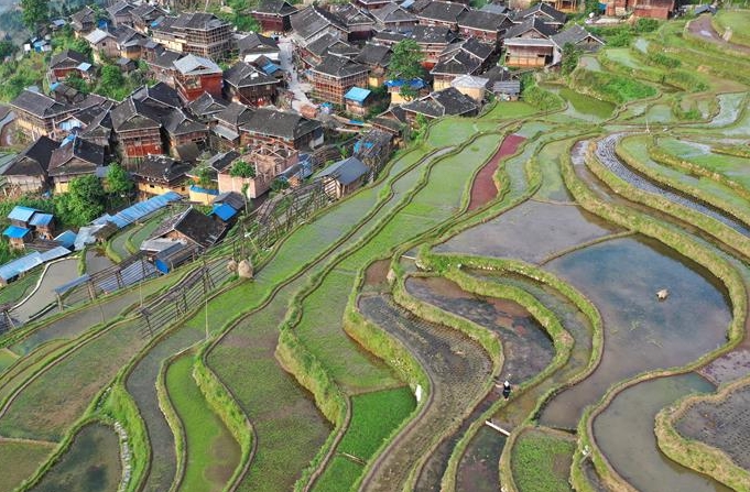 구이저우 충장: 자방 다랑이논… 한 폭의 풍경화 연출