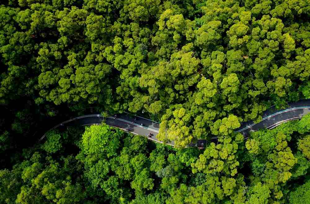 푸저우: 도시 녹화도로서 친환경 생활을 만끽