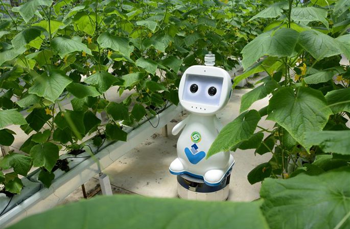 푸젠, 농사 짓는 로봇 발표…‘스마트팜’ 시대 ‘성큼’
