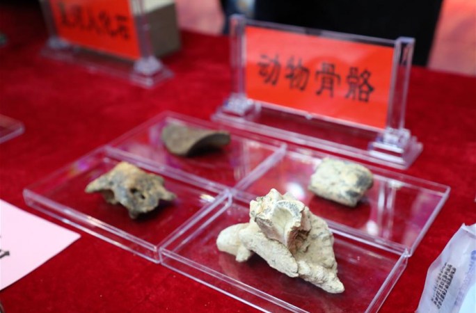 간쑤 바이스야 종유동굴, 칭짱고원 최고 오래된 고고학 유적지로 판명