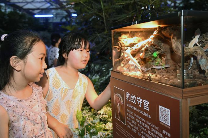 베이징: 여름밤 밝히는 신기한 동물 탐구 삼매경