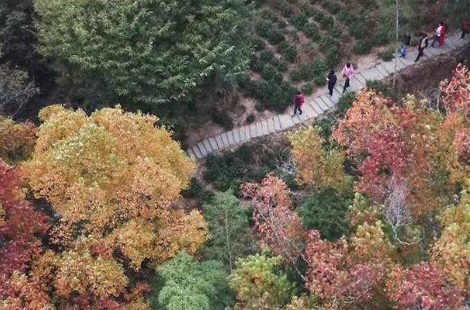 안후이: 만추의 타촨 풍경…가을 운치 물씬