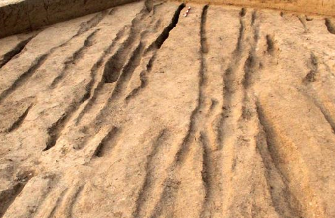 시안: 신쓰 유적지 주변서 西漢 중말기 고대 도로 발견