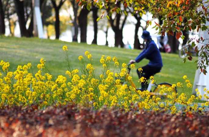 상하이: 봄꽃 활짝, 무르익는 봄빛