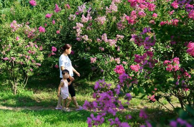허베이 사허: 아름다운 농촌 풍경