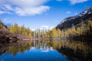 쓰촨성 서부 비경 마자거우