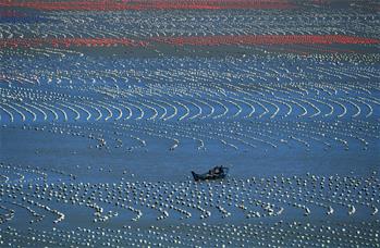 푸젠 롄장: 한 폭의 그림 같은 바다 목장