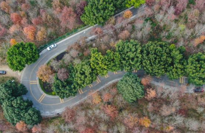 다채로운 광저우 국가산림공원