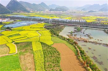 봄빛 완연한 구이저우 중부 지역