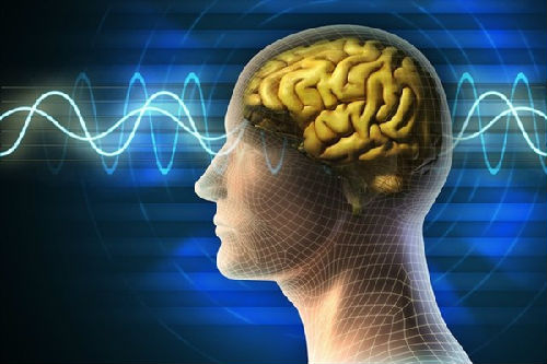 《国家科学院学报》上的成果,为认识人类大脑的语言功能提供了重要新